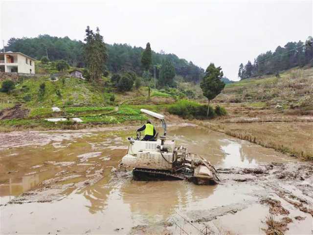 1648865935923720.jpg 2.jpg