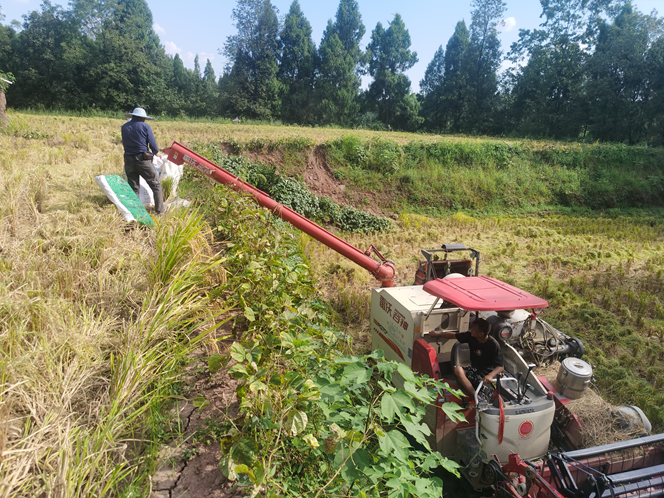 1693184832699177.png 2.png