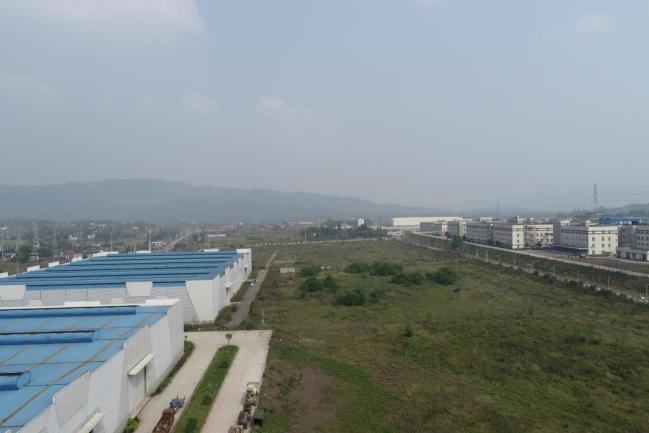 1735781691107566.jpeg 11.jpeg